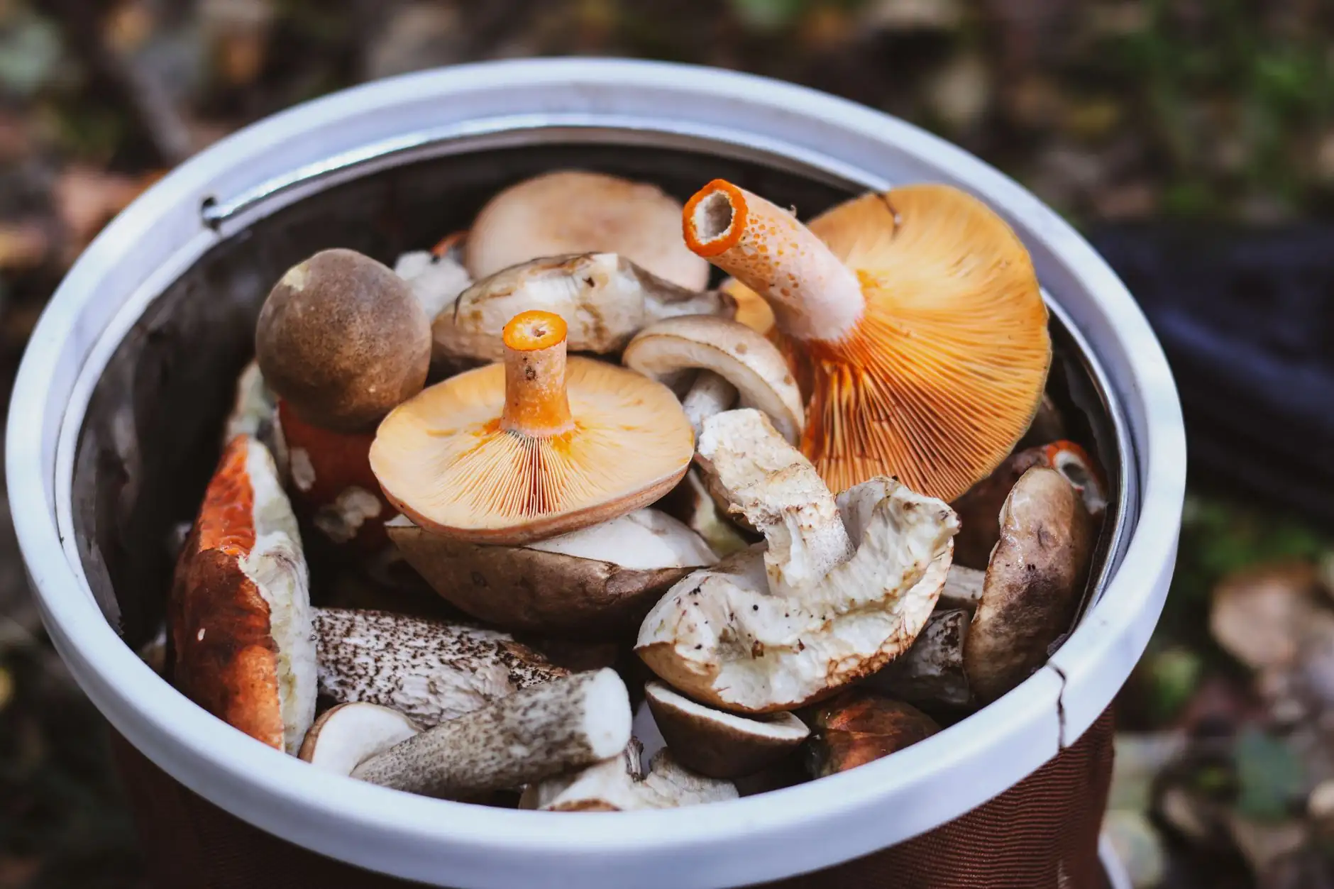山西地区企业资料册与档案盒的选型要点及行业规范解读