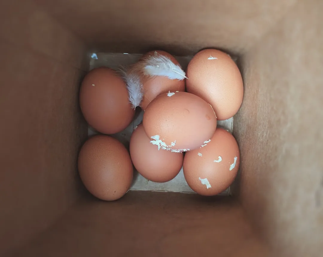 资料册与档案盒规格对比：如何为学校档案管理选择合适的收纳方案
